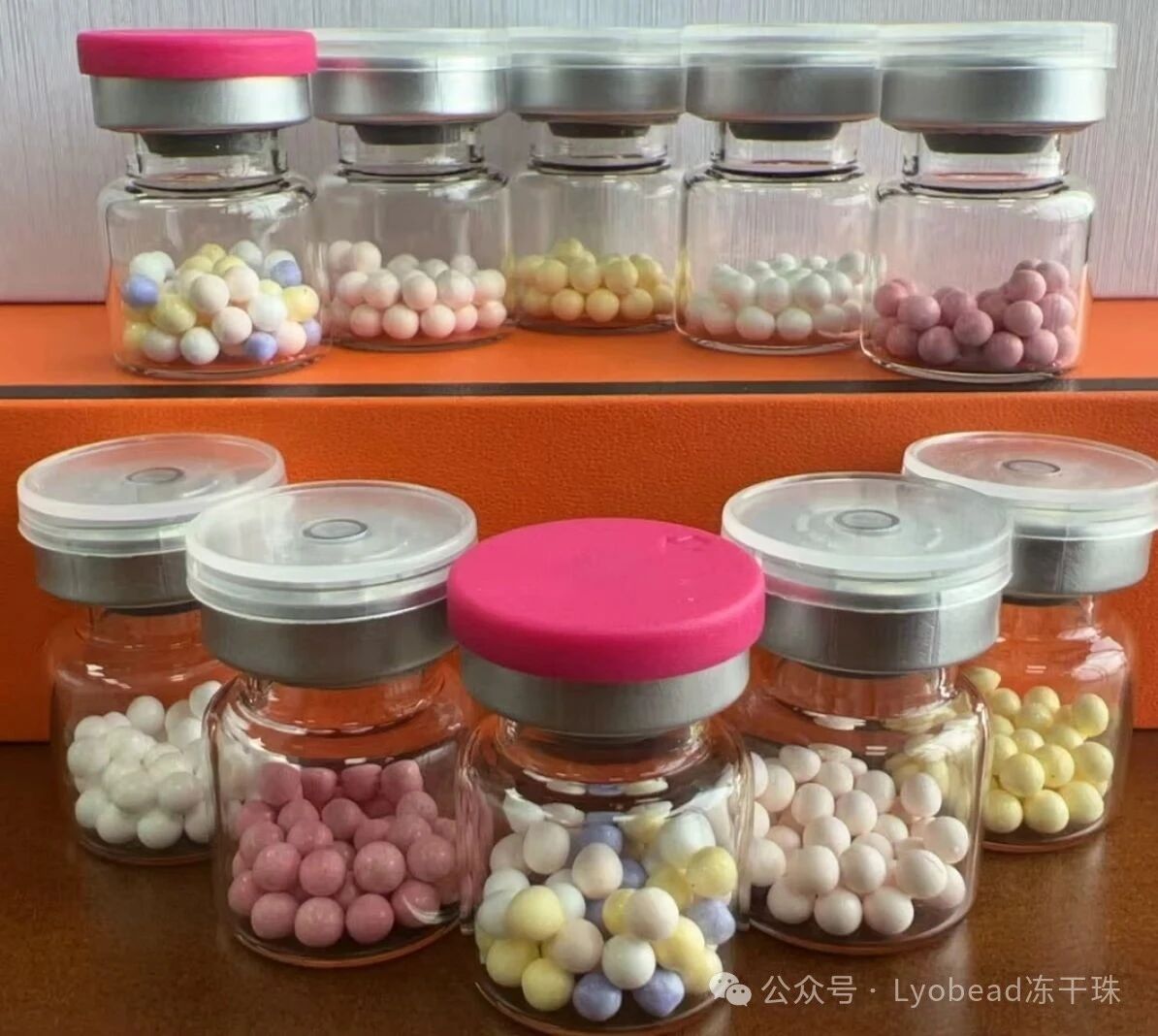 Custom OEM Lyophilization Services